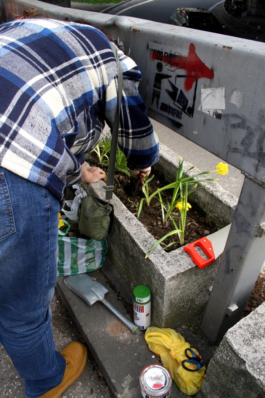 guerilla gardening 05.JPG