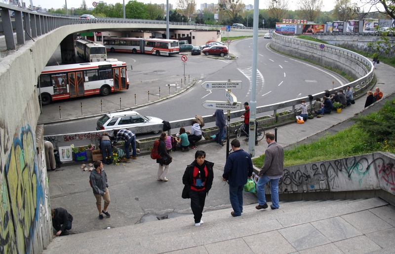 guerilla gardening bratislava 08.JPG