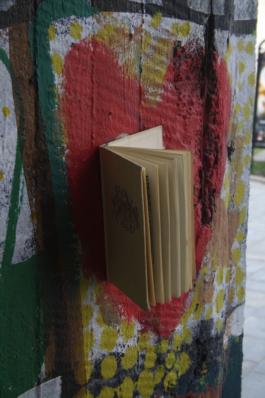 guerilla gardening bratislava 11.JPG