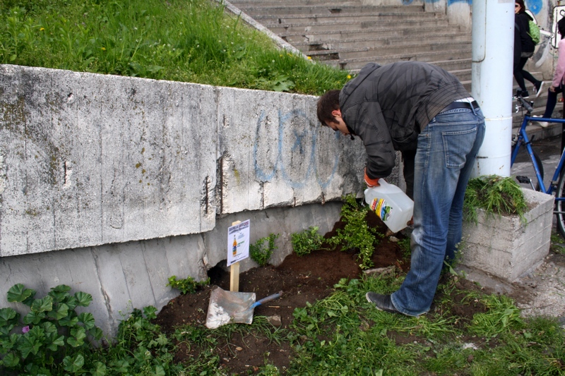 guerilla gardening bratislava 12.JPG