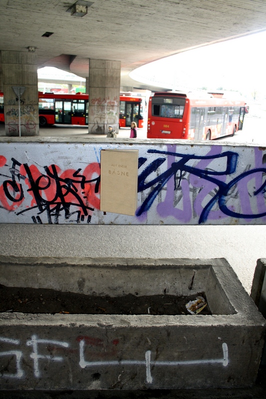 guerilla gardening bratislava 13.JPG