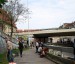 guerilla gardening bratislava 06.JPG