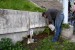 guerilla gardening bratislava 12.JPG