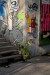 guerilla gardening bratislava 02.JPG